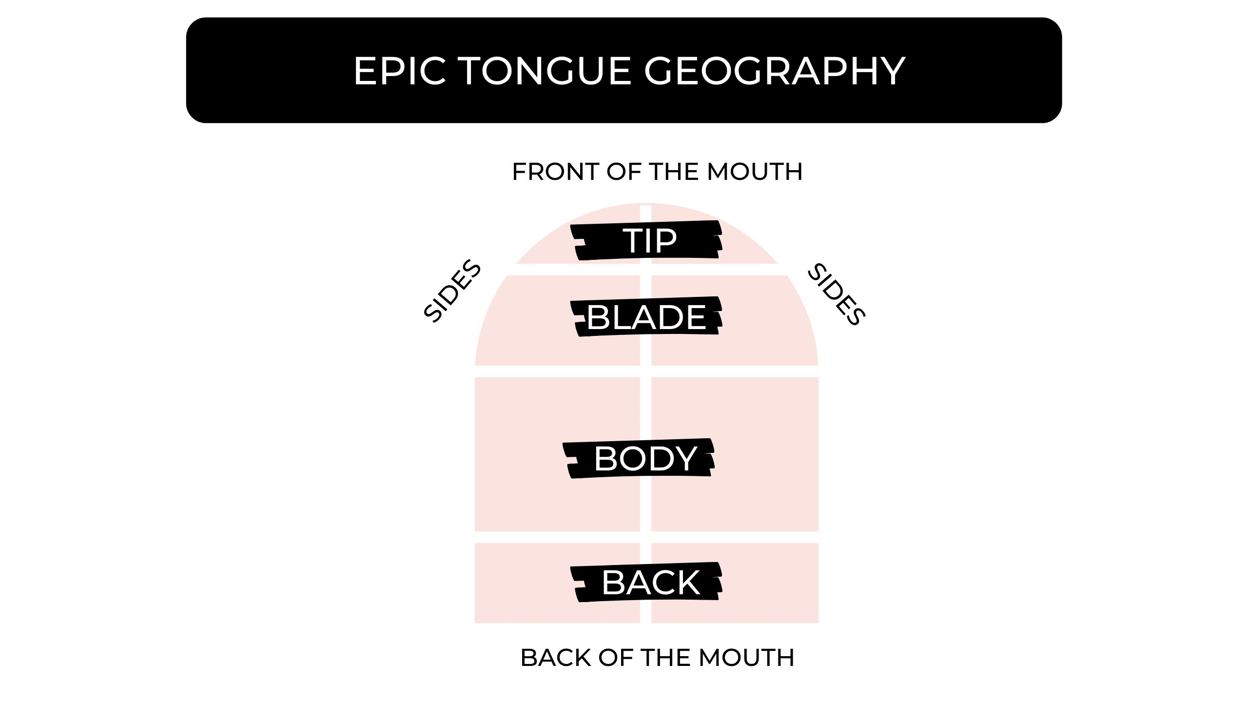 tongue position for English