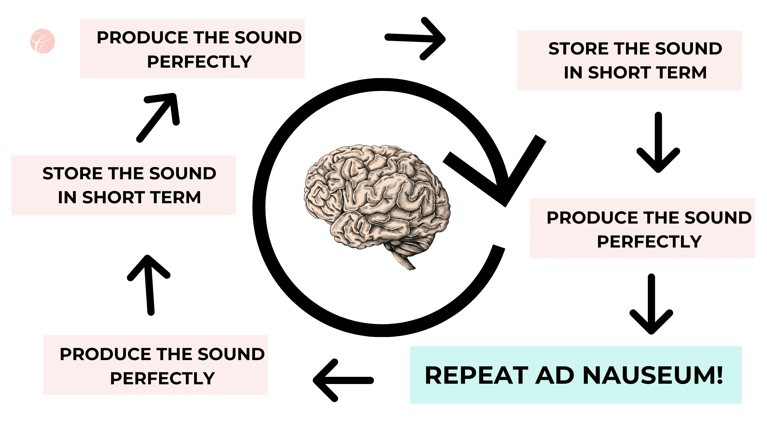 phonological working memory